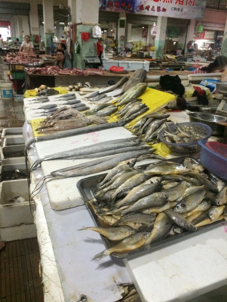 fish market taizhou